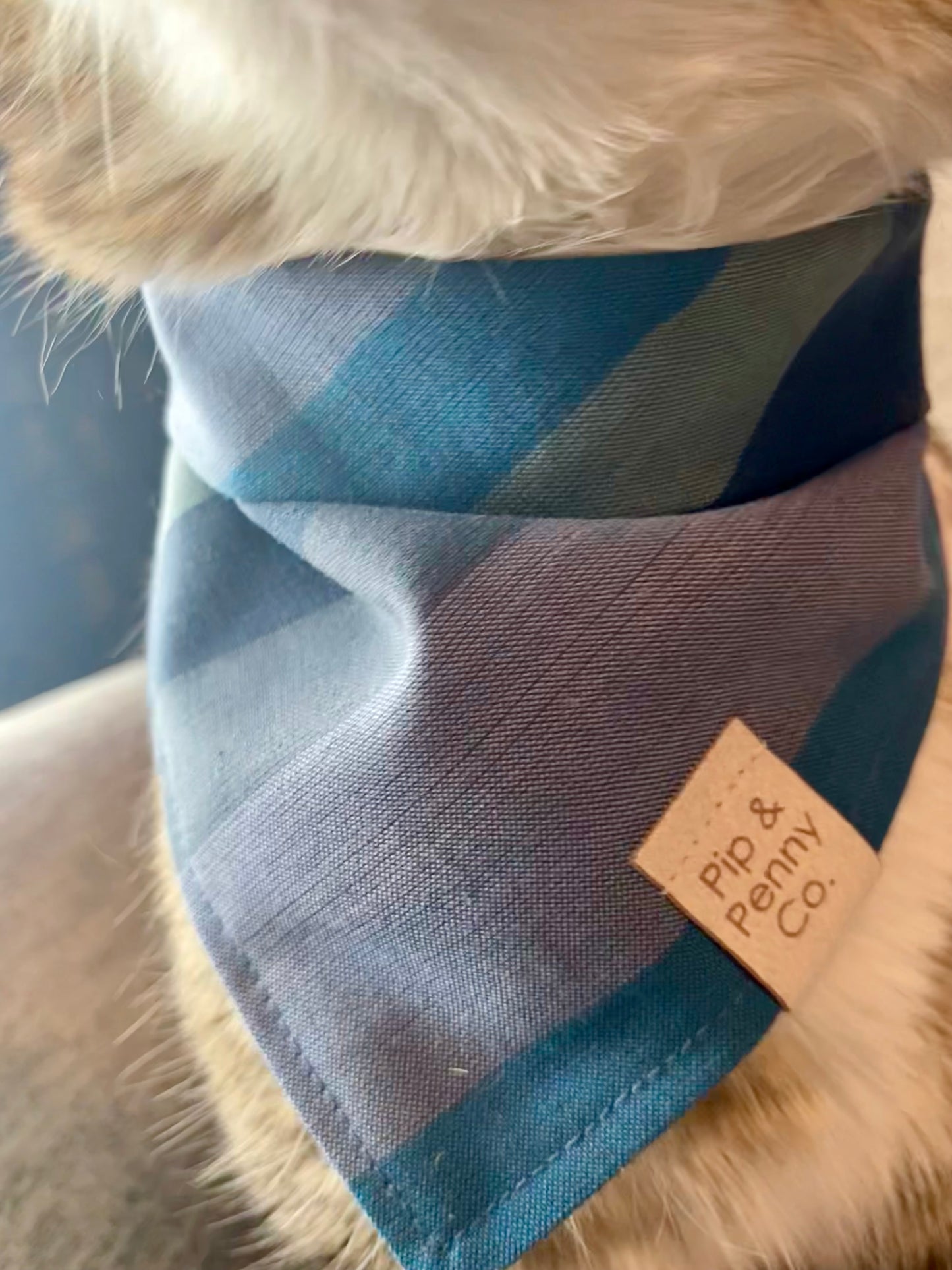 Clearance - Midnight