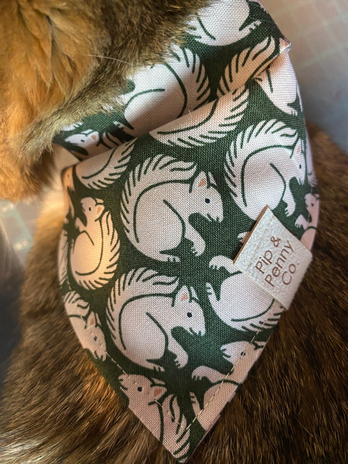 Fall - Green Squirrels