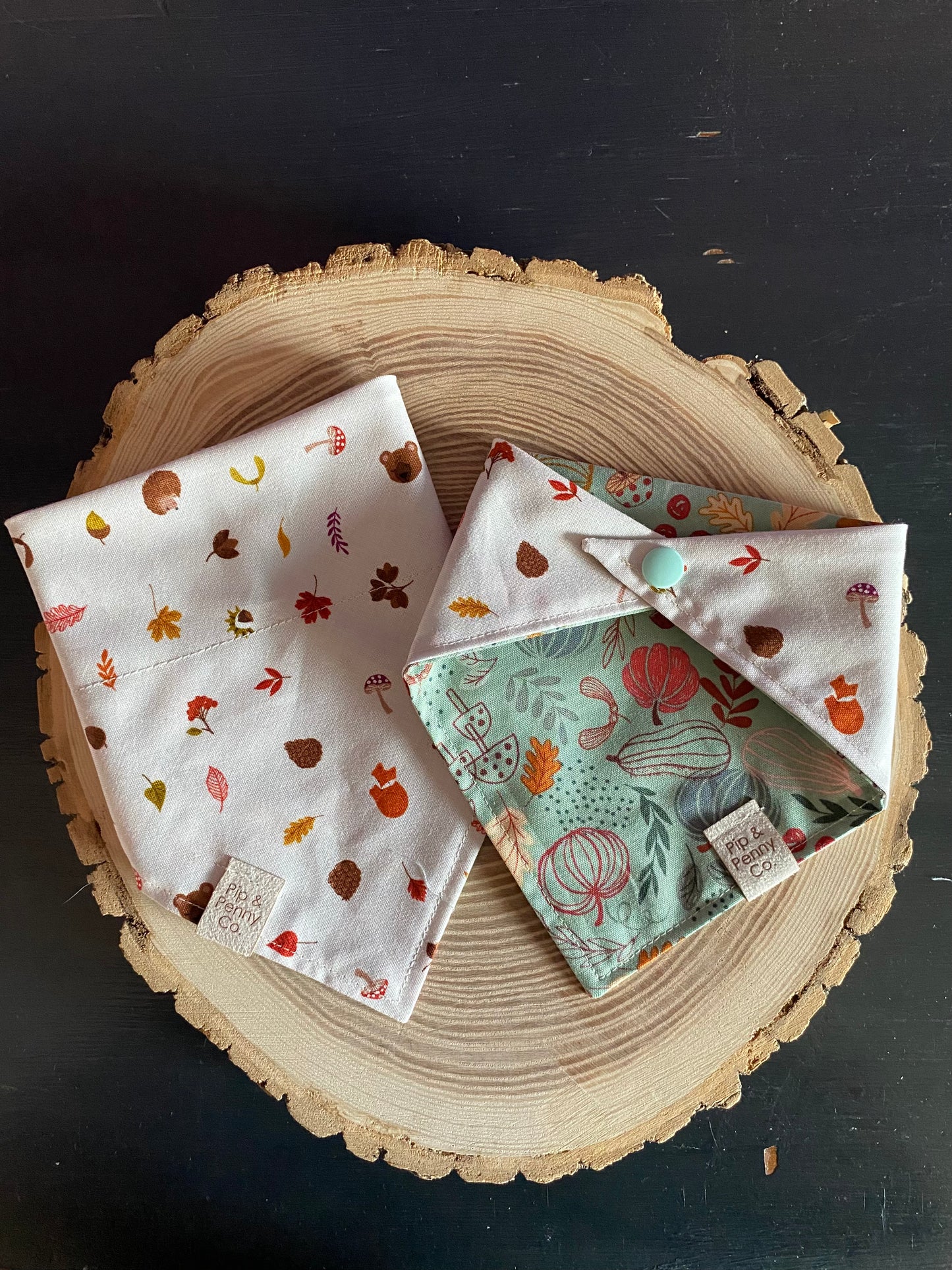 Clearance - Whimsical Pumpkins