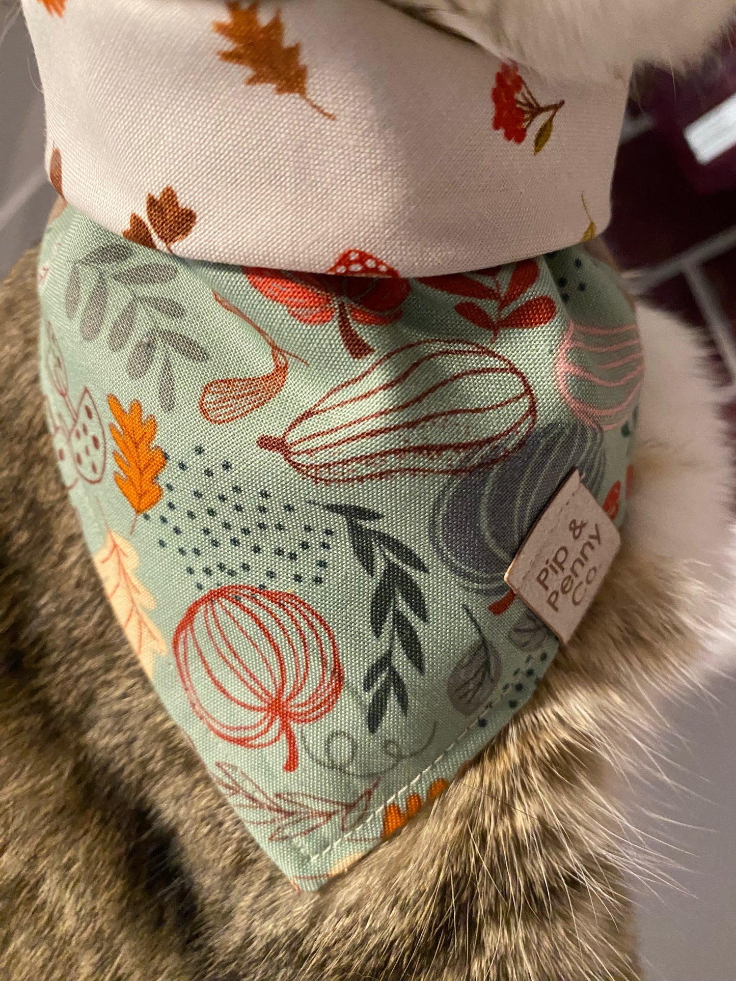 Clearance - Whimsical Pumpkins