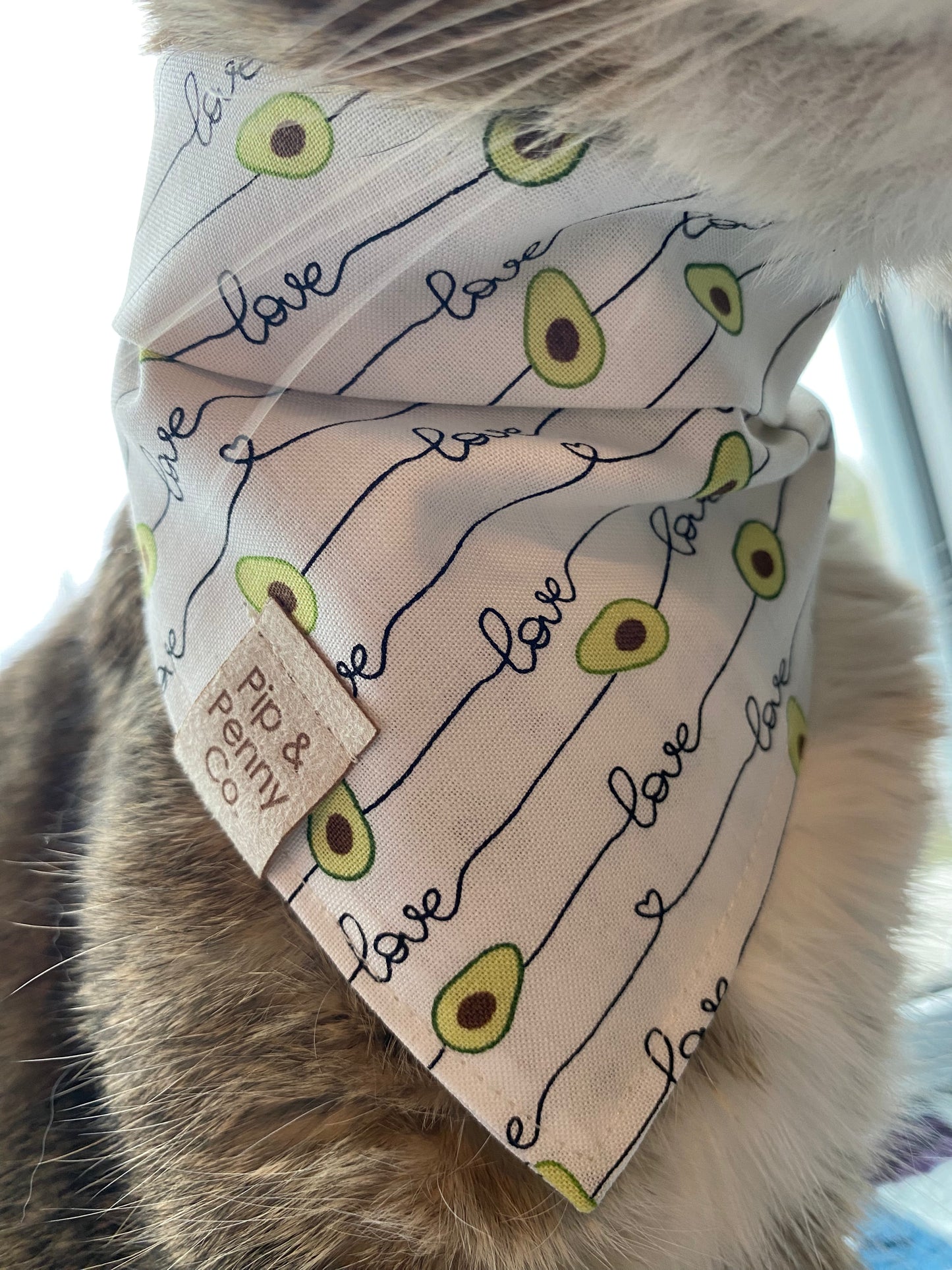 Clearance - Avocado Love