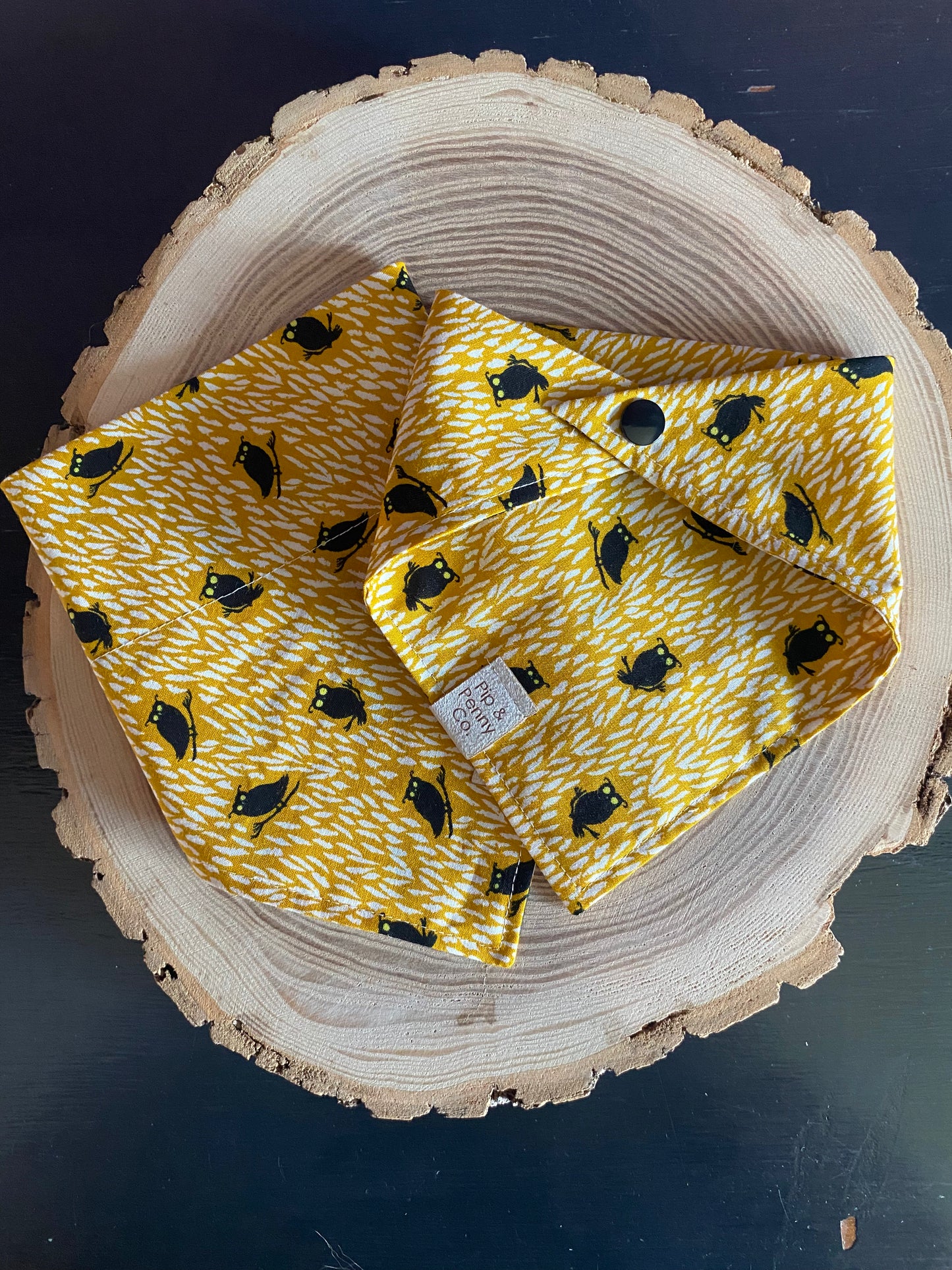 Spooky Season - Owls