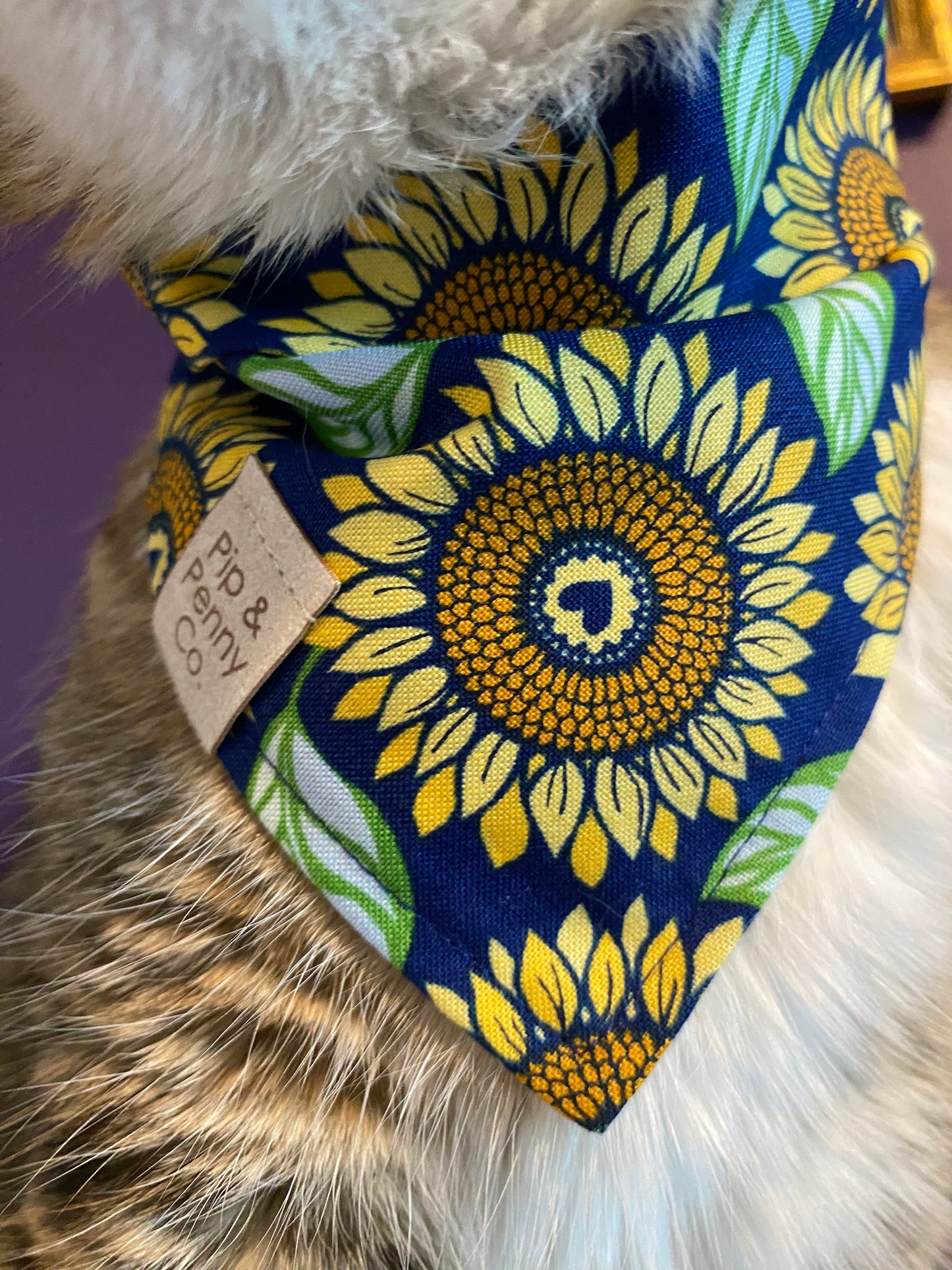 Clearance - Sunflower