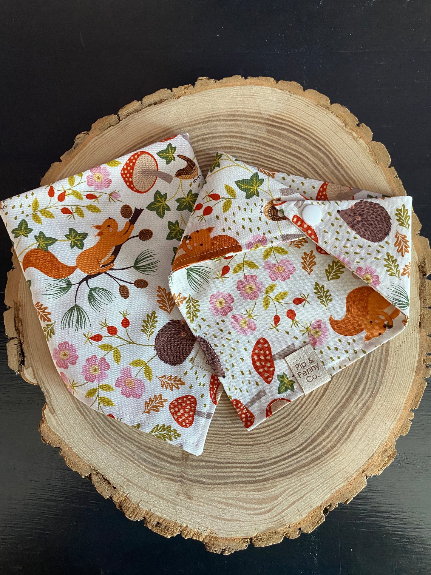 Fundraiser - Squirrels