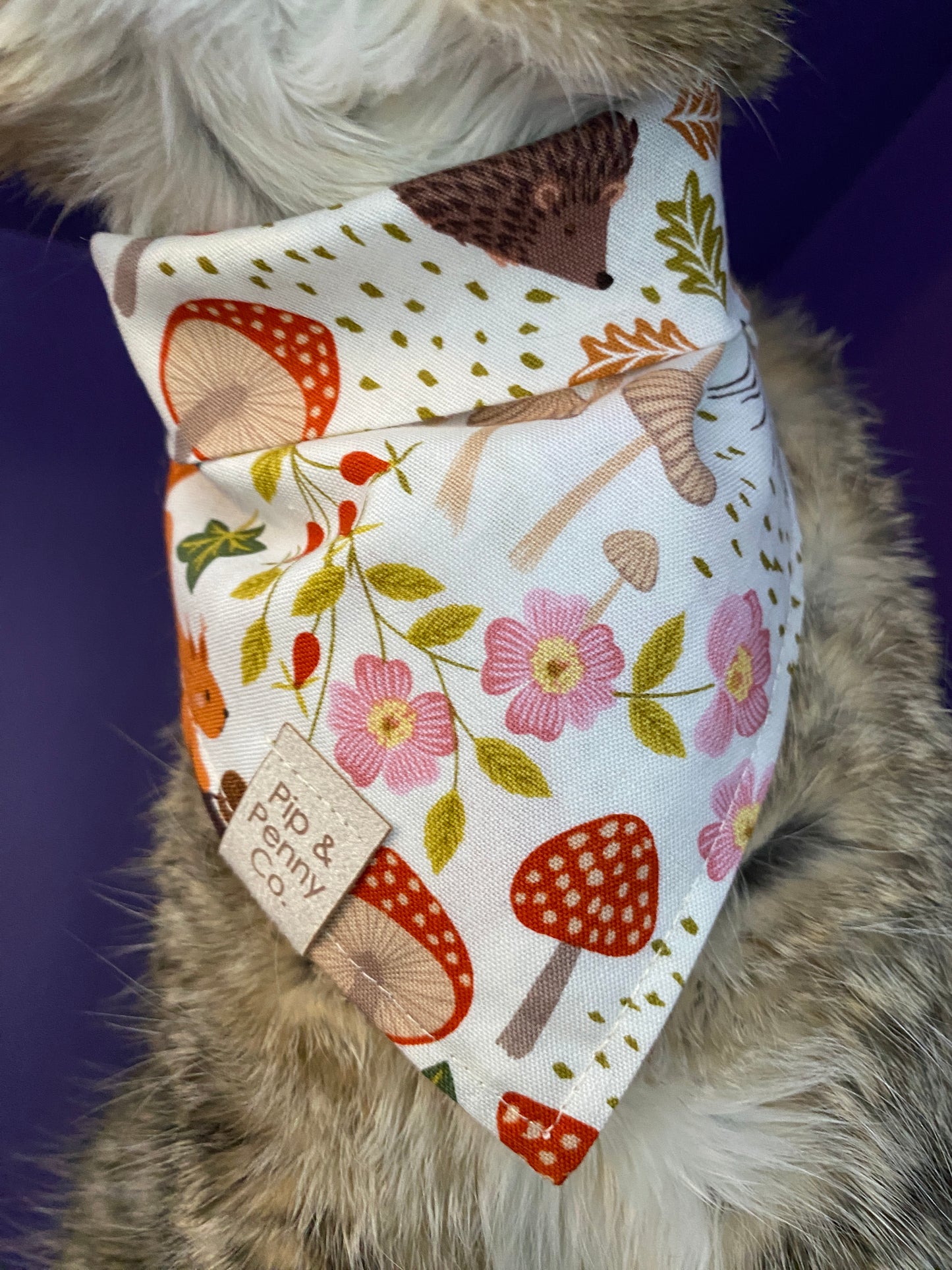 Fundraiser - Squirrels