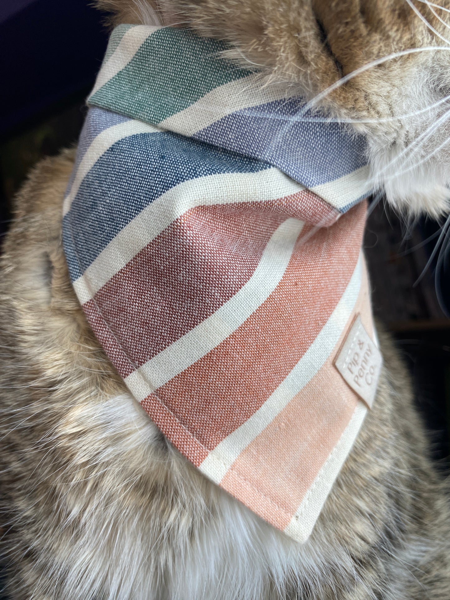 Clearance - Neutral Stripes