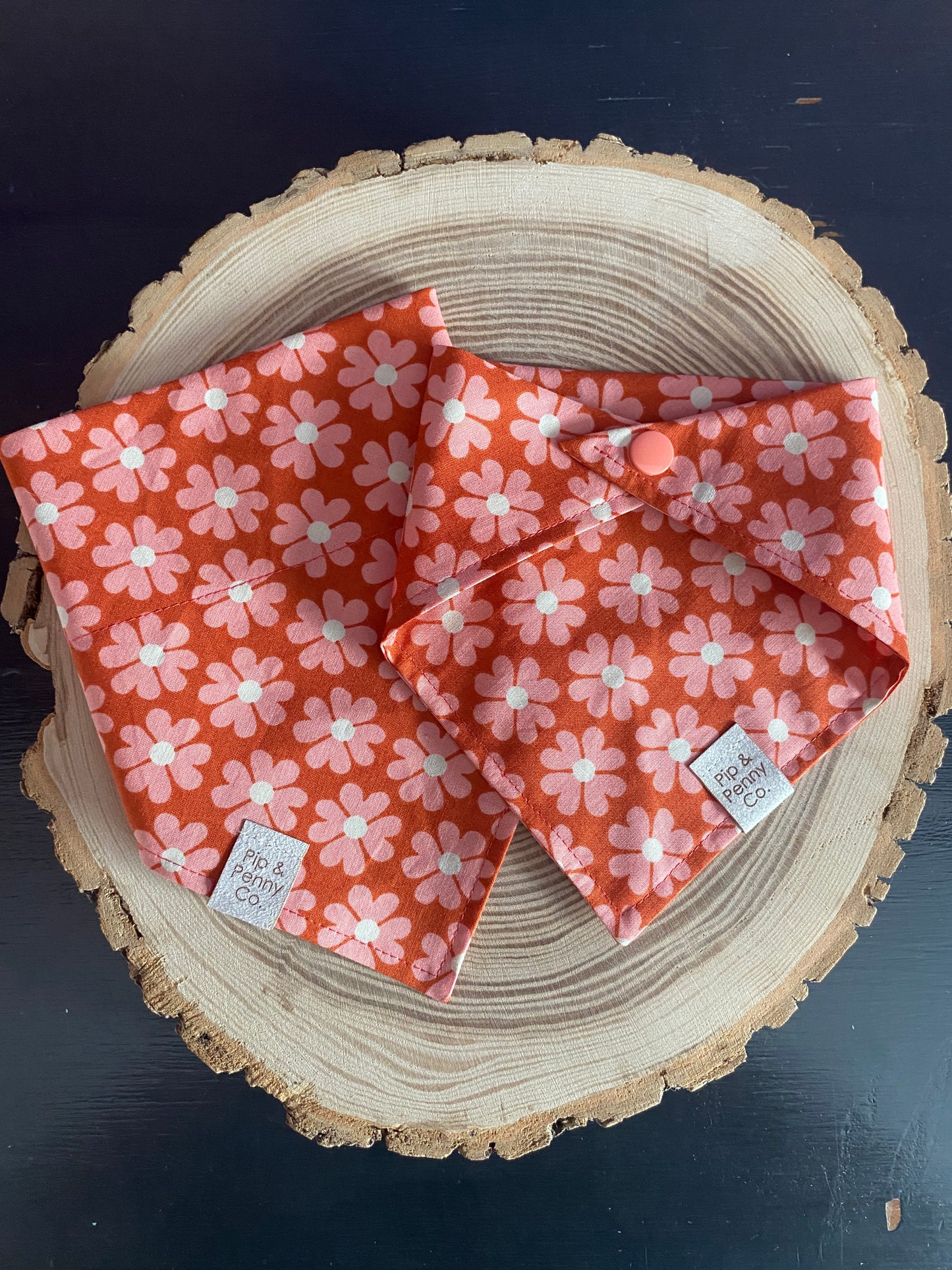 Spring - Sweet Daisies