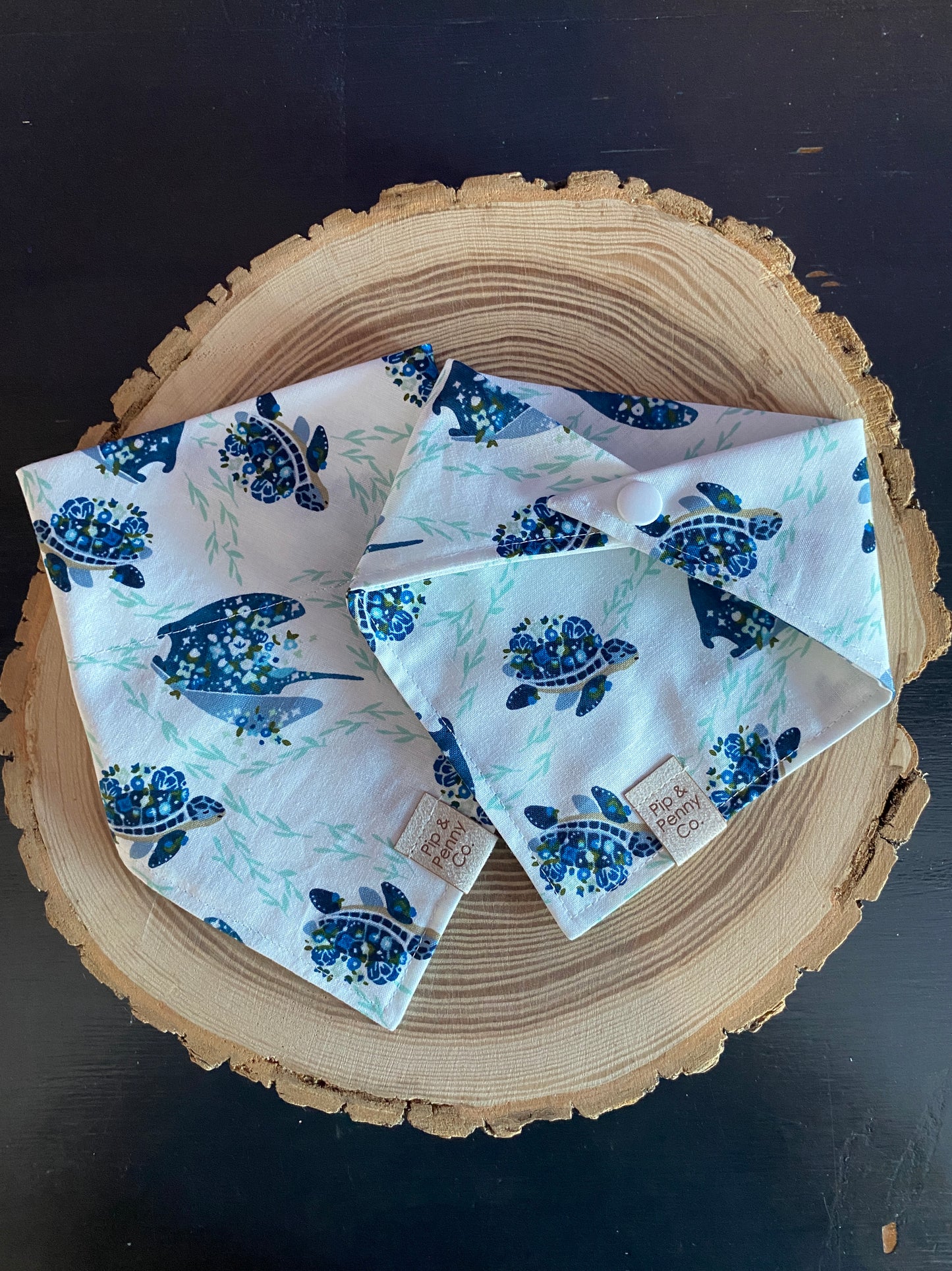 Fundraiser - Turtles & Stingrays