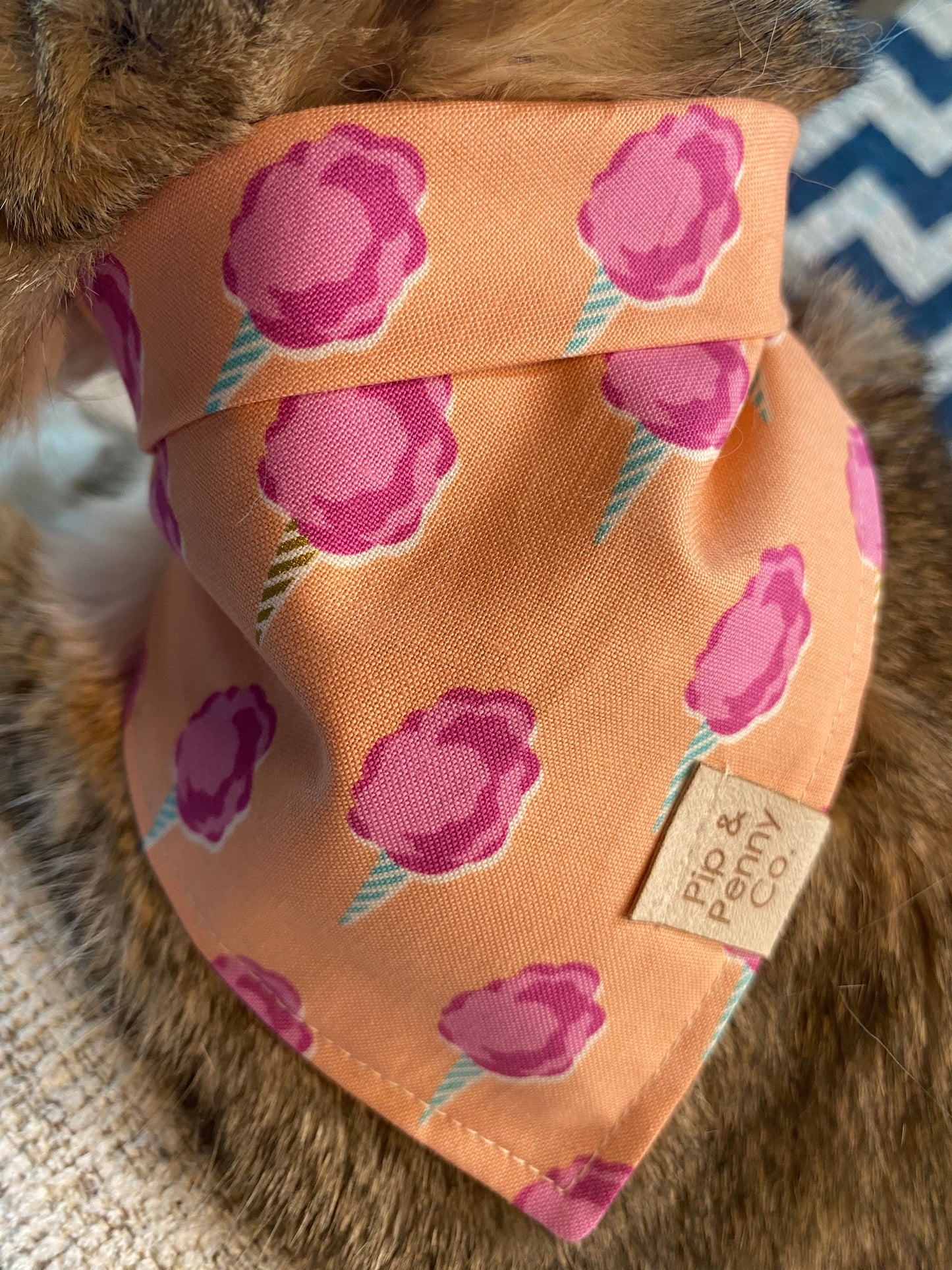 Foodie - Cotton Candy