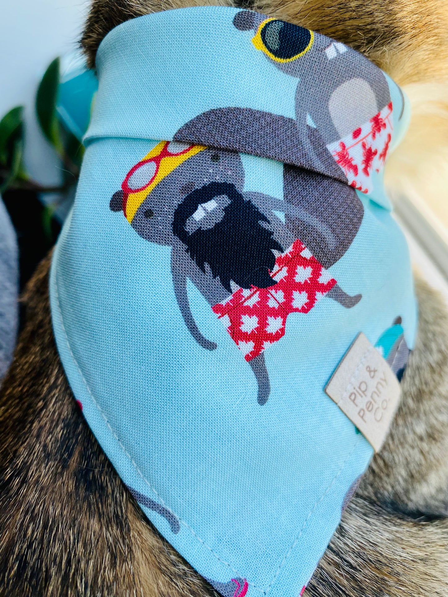 Clearance - Summer Beavers