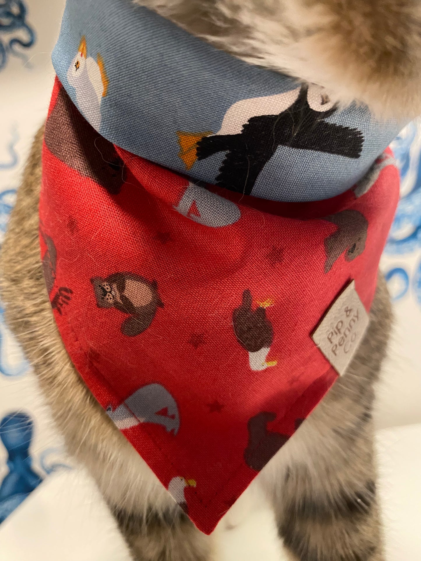 Clearance - Wildlife