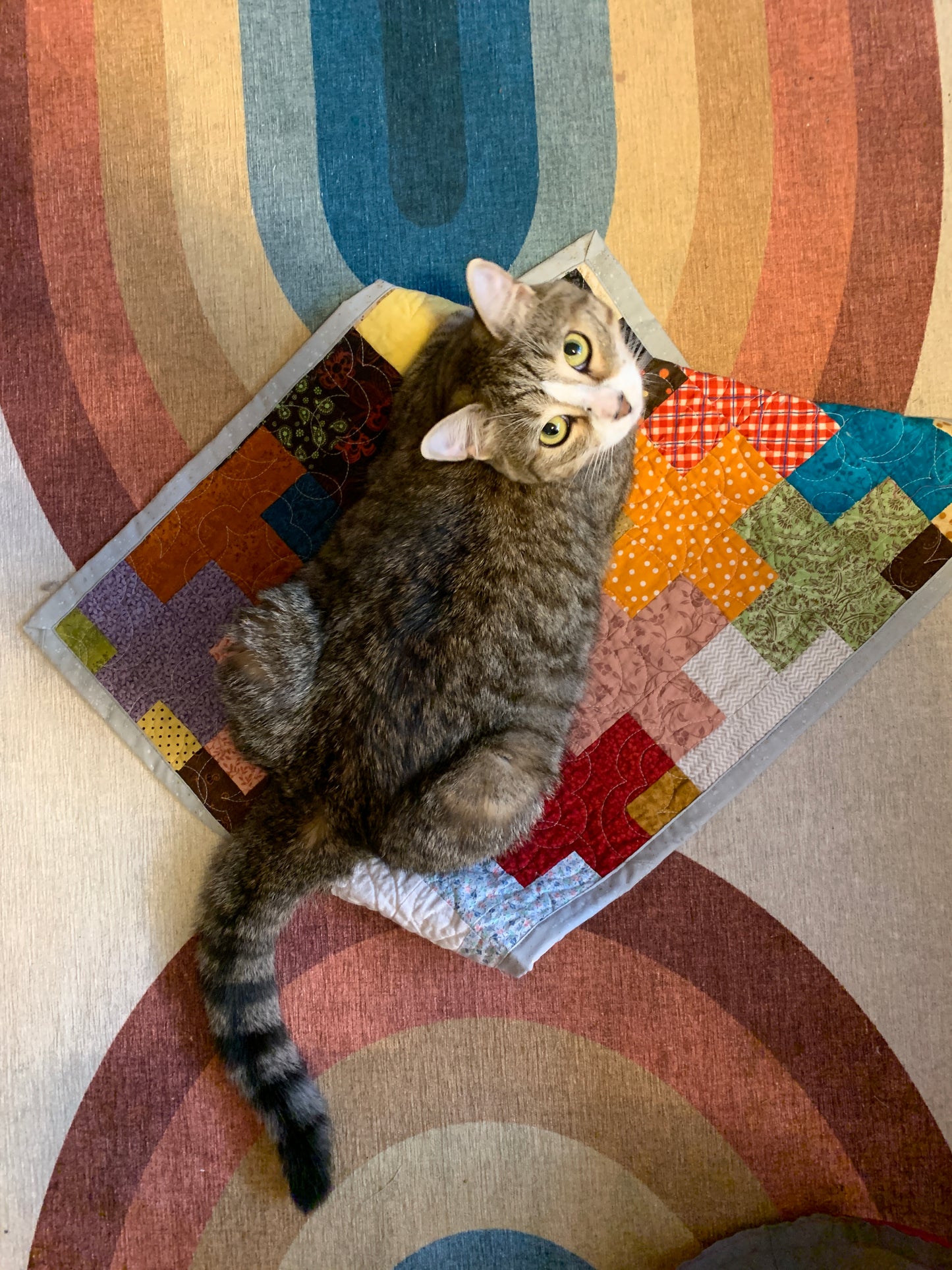Cat Quilt