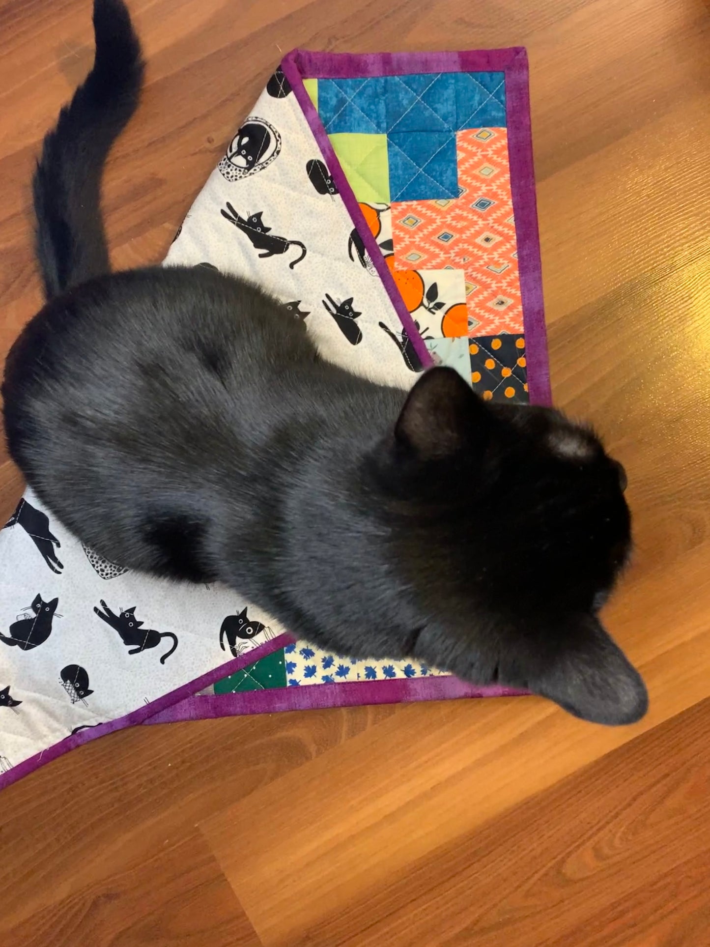 Cat Quilt