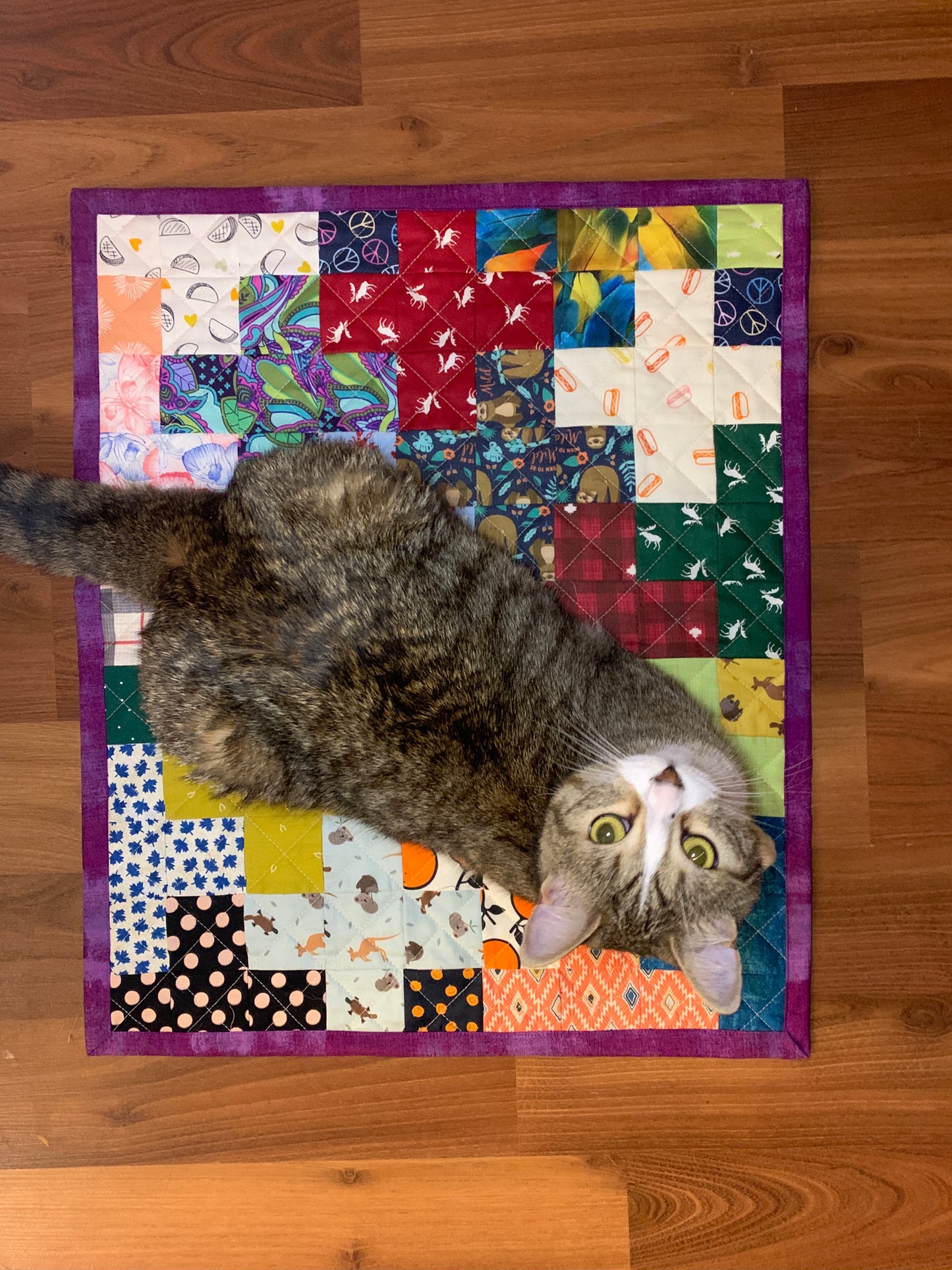 Cat Quilt