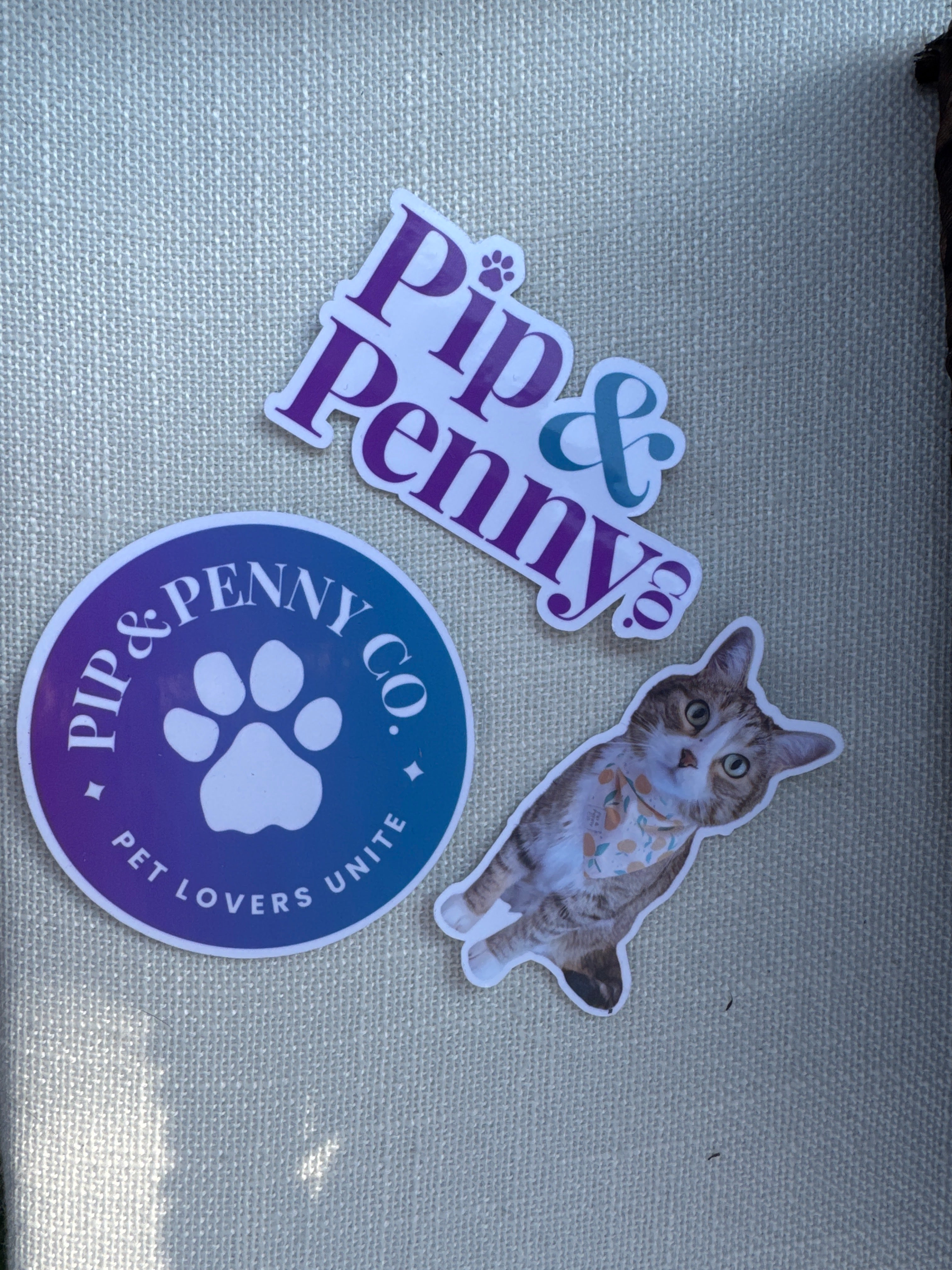 Stickers – Pip & Penny Co