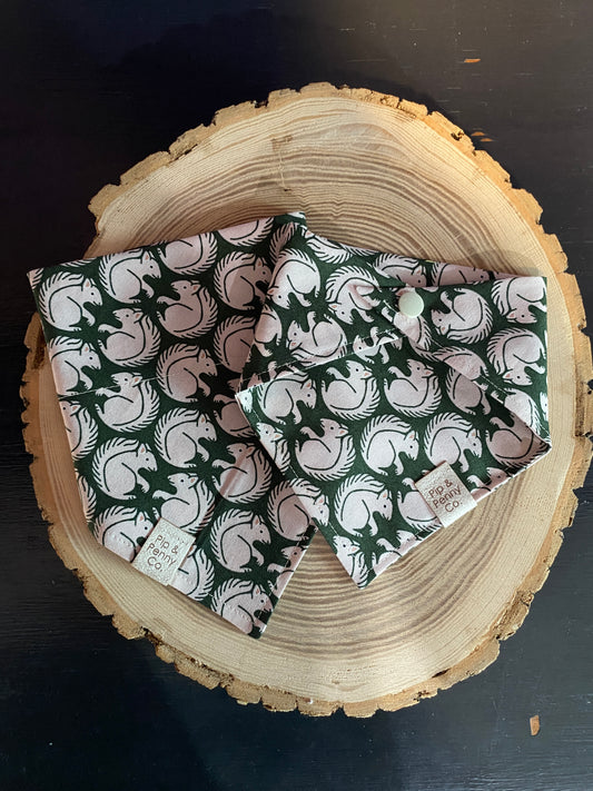 Fall - Green Squirrels