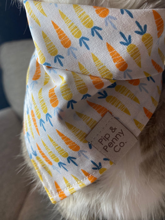 Clearance - Sweet Carrots