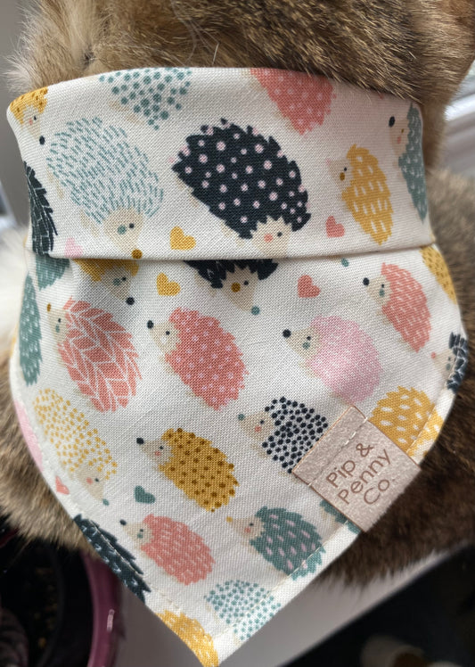 Summer Lovin’ - Hedgehogs