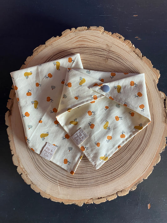 Fall - Mini Pumpkins