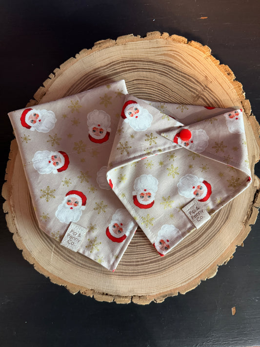 Holidays - Santa Clause