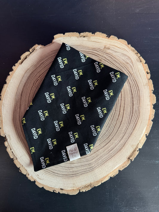 Schitt's Creek - Ew David