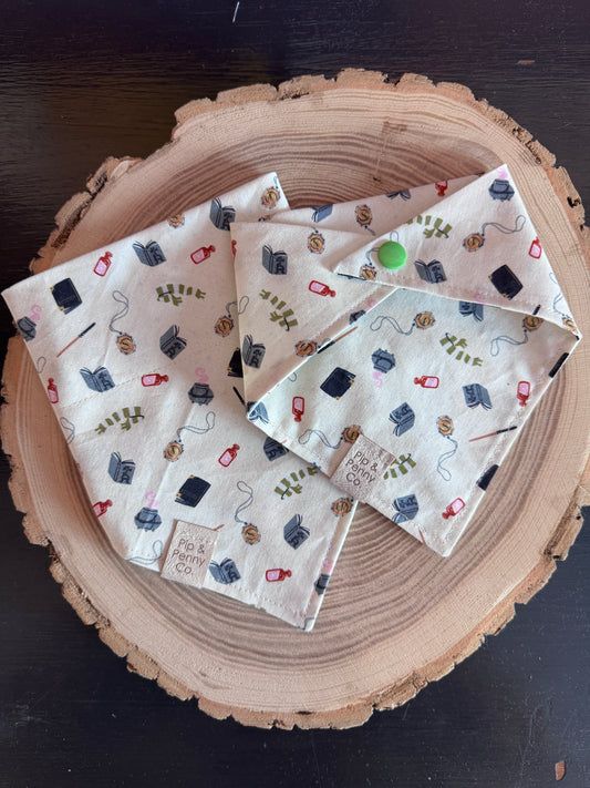 Wizards - Slytherin - PRE ORDER