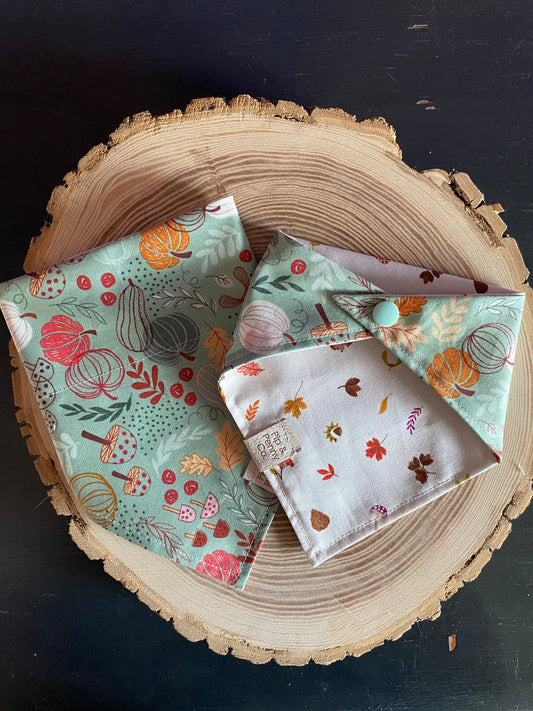 Clearance - Whimsical Pumpkins