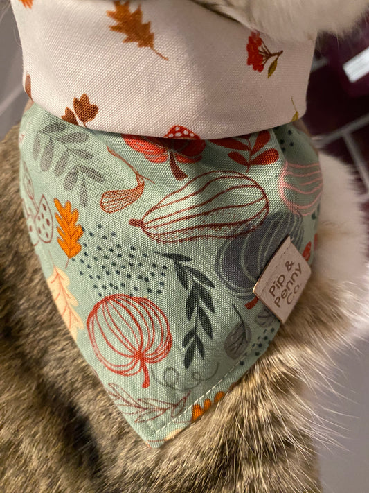 Clearance - Whimsical Pumpkins