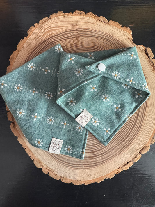 Spring - Teal Daisies