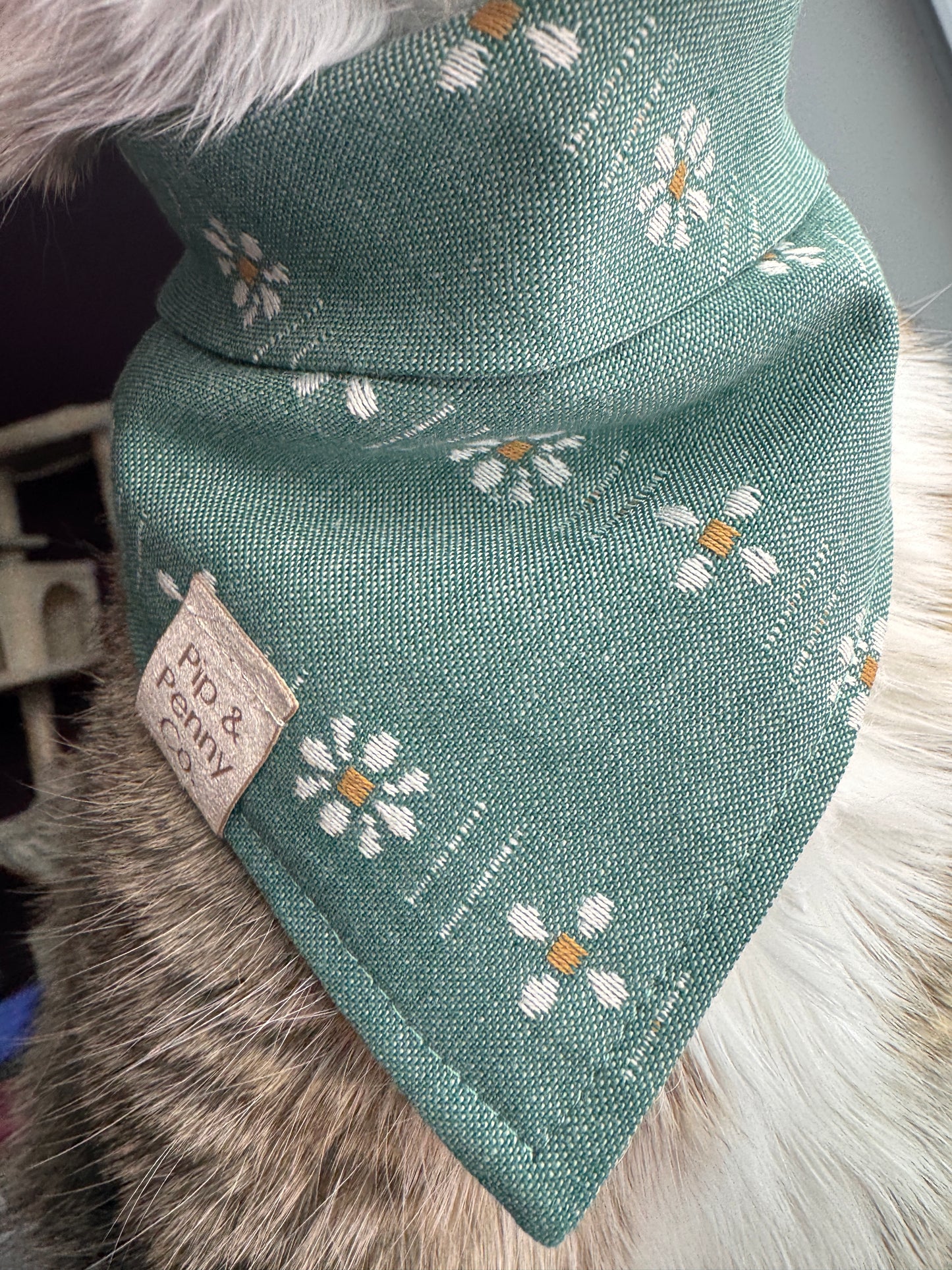 Spring - Teal Daisies