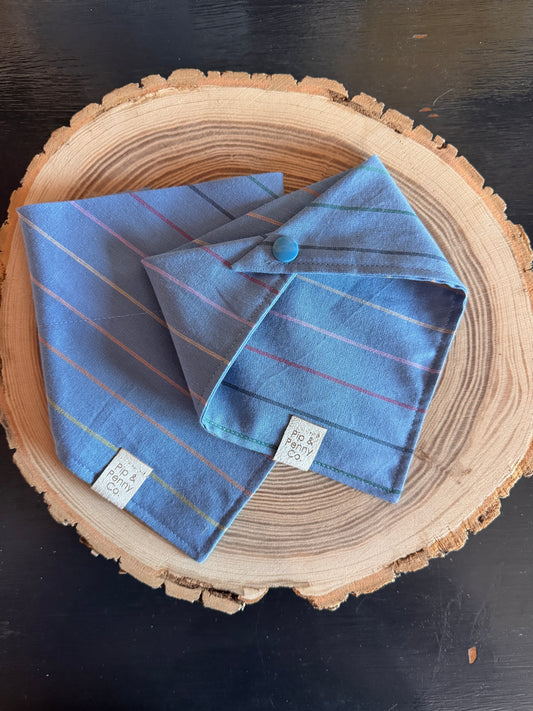 Spring - Blue Stripes