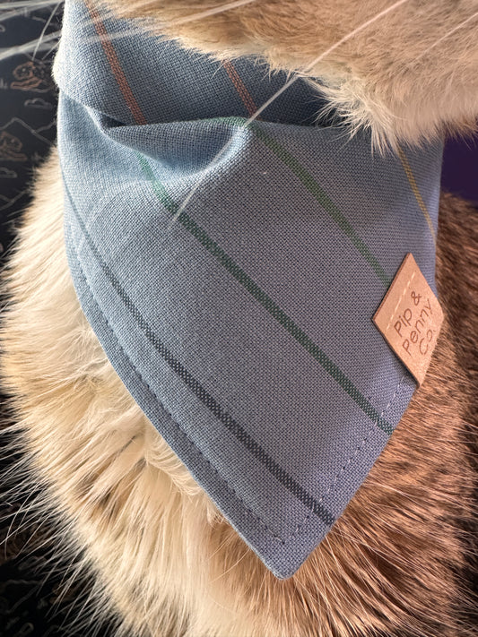 Spring - Blue Stripes