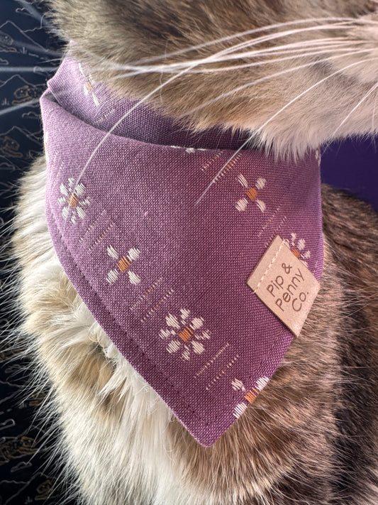 Spring - Purple Daisies