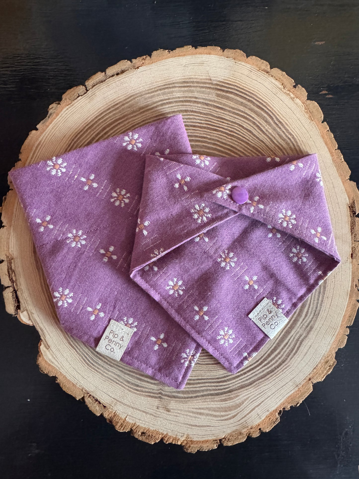 Spring - Purple Daisies