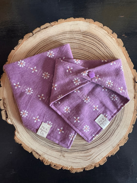 Spring - Purple Daisies