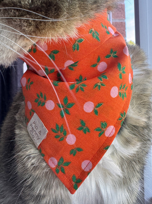Summer - Oranges