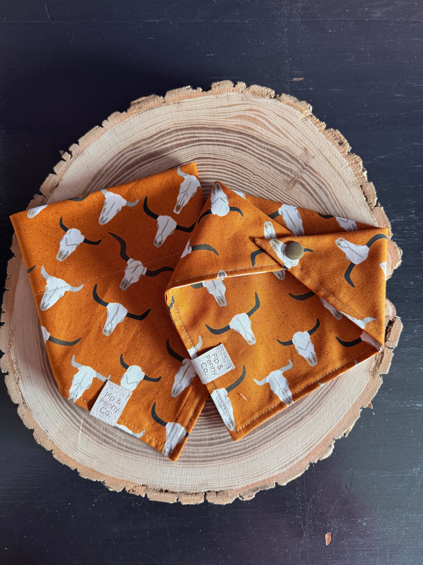 Fall - Longhorn