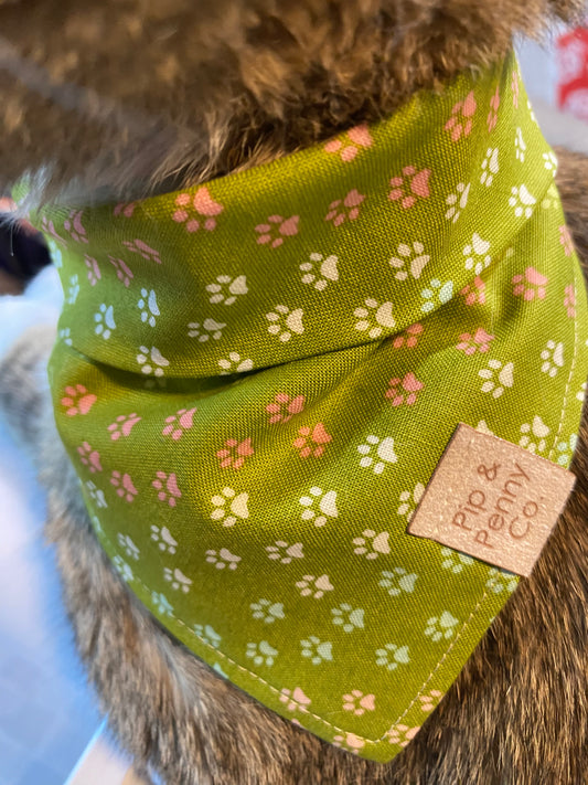 Fundraiser - Green Paw