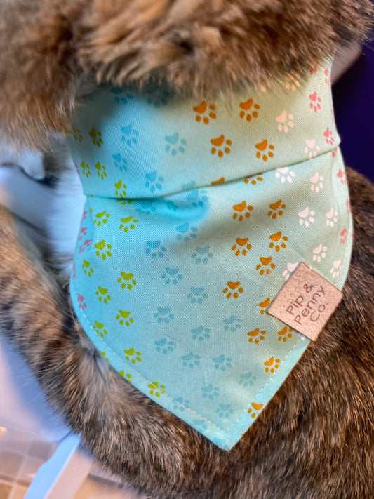 Fundraiser - Blue Paw