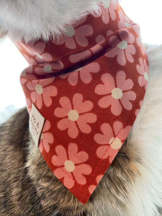 Spring - Sweet Daisies