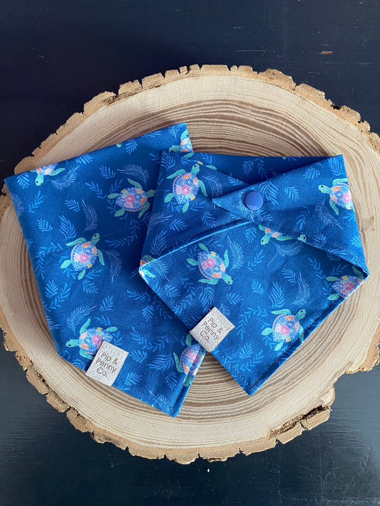 Fundraiser - Colourful Turtles