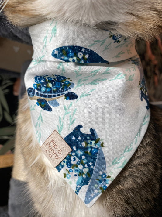 Fundraiser - Turtles & Stingrays