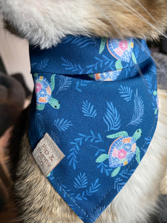 Fundraiser - Colourful Turtles