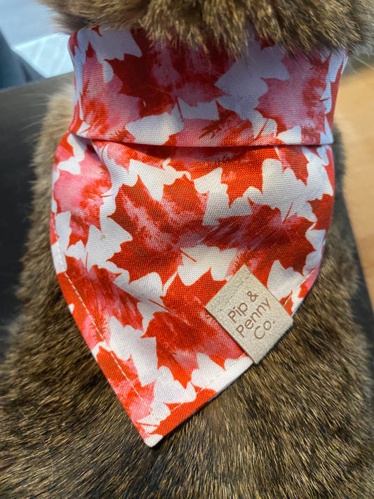 Summer Lovin’ - Oh Canada!