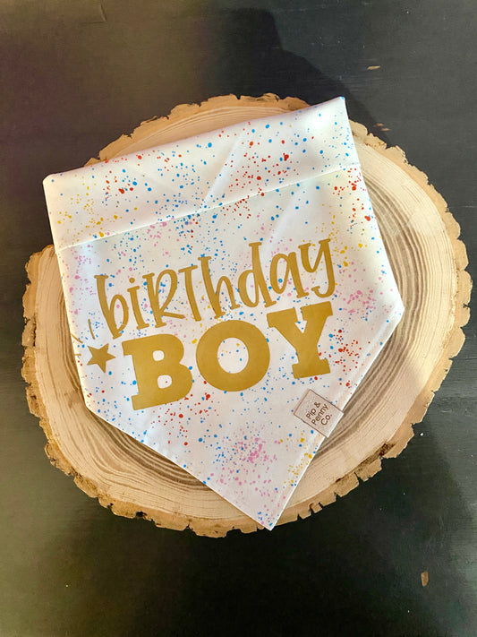 Clearance - Birthday Boy