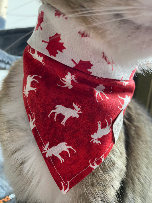 Canada Day - Moose