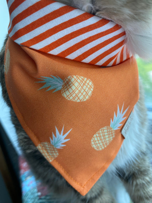 Clearance - Pineapple Creamsicle